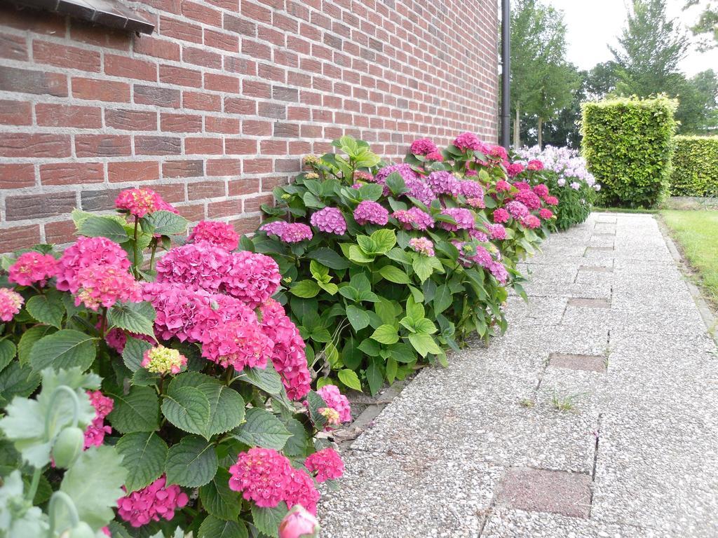 Bed and Breakfast Nicolaashoeve Beemster à Noordbeemster Extérieur photo